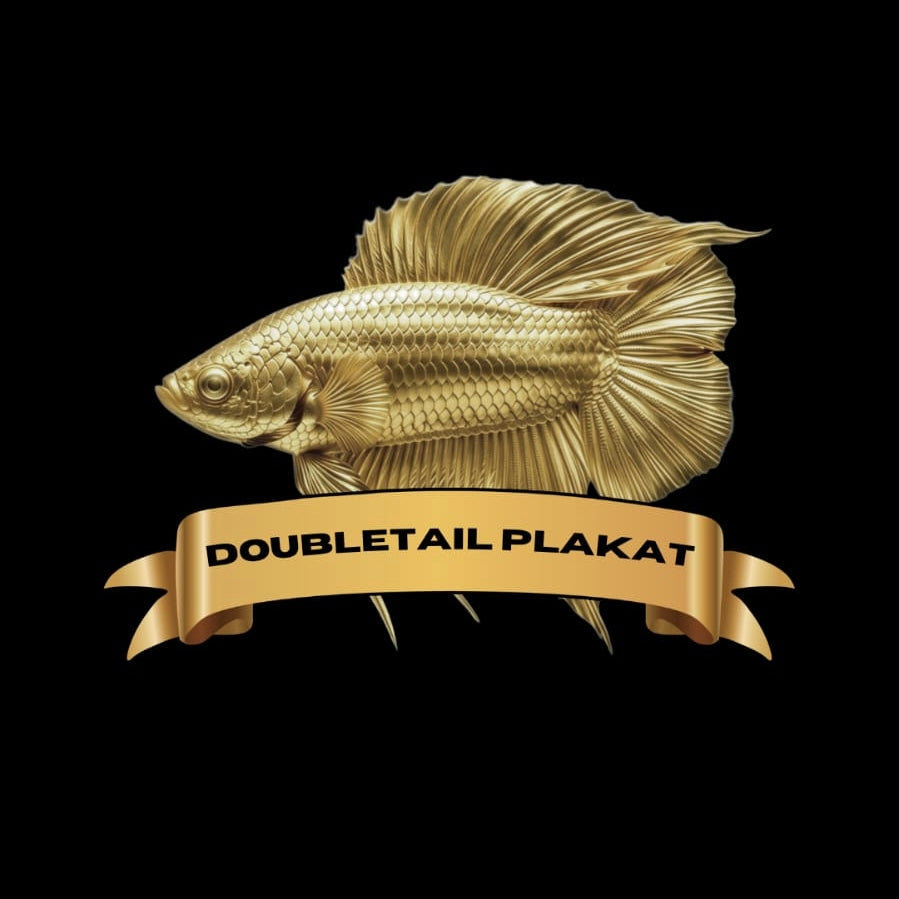 DOUBLETAIL PLAKAT