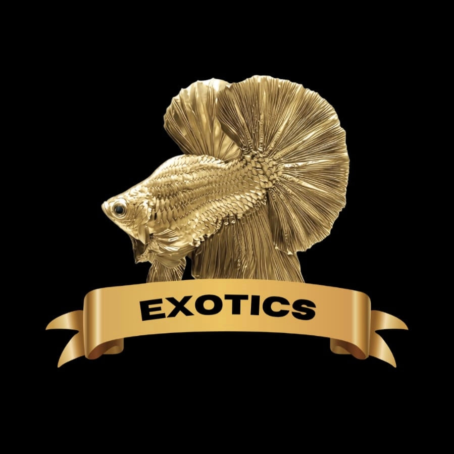 EXOTICS
